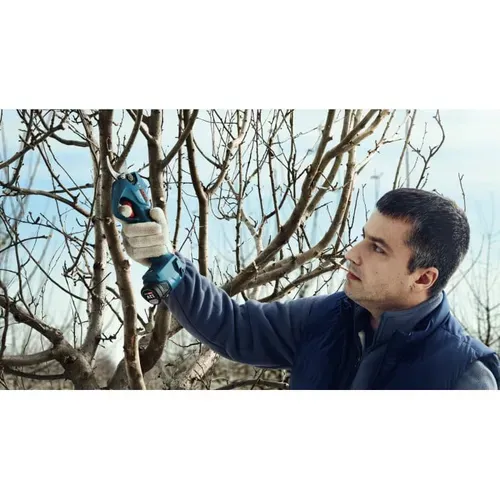 Акумуляторний секатор Bosch Pro Pruner (12 В, без АКБ) (06019K1020) - PRORAB image-11